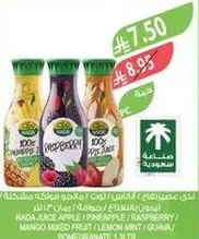 NADA Juice Apple, Lemon Mint, Raspberry, Mango Mixed Fruit.