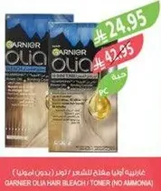 Garnier Olia Hair Bleach / Toner (No Ammonia)