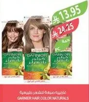 Garnier Hair Color Naturals