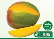 Mango, fresh and ripe, available per kilogram.