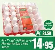 Alwataniya Egg Large 30pcs