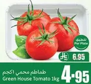 Green House Tomato 1kg