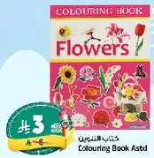 Colouring Book Flowers