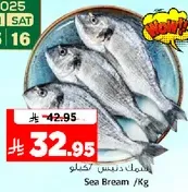 Sea Bream /Kg