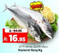 Mackerel Rosy/Kg