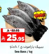 Sea Bass / kg