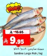 Sardine Large Fish / kg