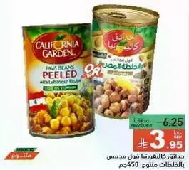 California Garden Fava Beans Peeled with Lebanese Recipe.