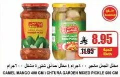 Camel Mango 400 GM | Chtura Garden Mixed Pickle 600 GM