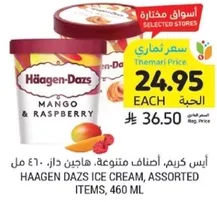 ايس كريم، اصناف متنوعه، هاجن داز، 460 مل.