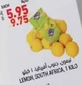 Lemon South Africa, 1 kilo
