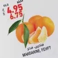 Mandarins from Egypt.