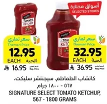 Signature Select Tomato Ketchup, 567 - 1800 grams