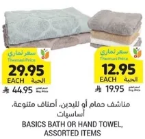 Basics bath or hand towel, assorted items.