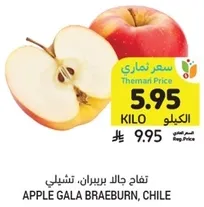 Apple Gala Braeburn, Chile