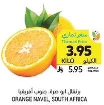 Orange Navel, South Africa