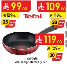 Tefal Tempo Flame Fry Pan