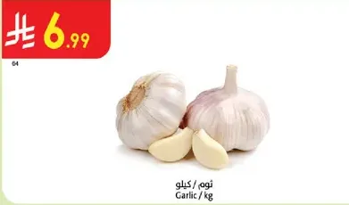 Garlic / kg