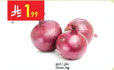 Onion