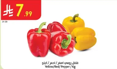 Yellow/Red/ Pepper / Kg