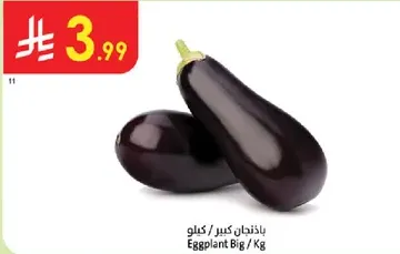 Big Eggplant / Kg