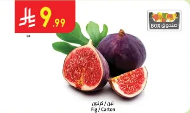 Fig