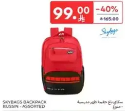 Skybags backpack for school, assorted colors.