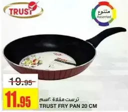 TRUST Fry Pan 20 cm