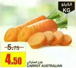 Australian Carrot
