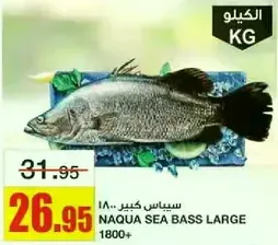 Naqua Sea Bass Large