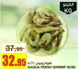 نقوه روبيان 50/60