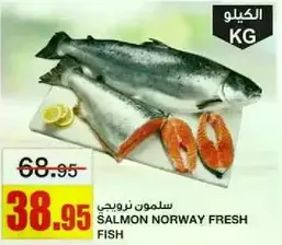 Salmon Norway fresh fish