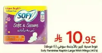 Sofy Feminine Napkin Large With Wings