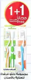 A set of toothbrushes for dental care.