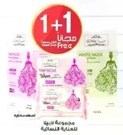 A collection of feminine care products.