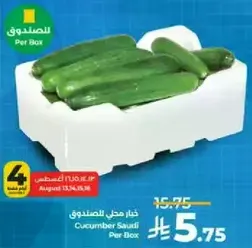 Cucumber Saudi Per Box