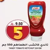 Tandy Tomato Ketchup 550 gm