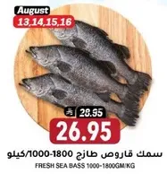 Fresh Sea Bass 1000-1800g/kg