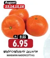 Mandarin Nadorcott