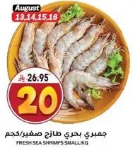 Fresh sea shrimps small.