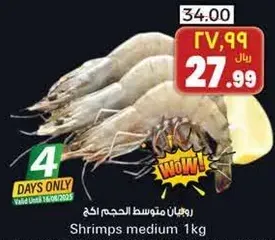 روبيان متوسط الحجم.