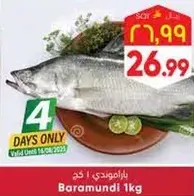 باراموندي 1 كغ