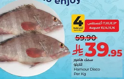 Hamour Disco per kg