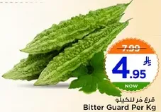 Bitter Guard Per Kg