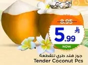 Tender Coconut Pcs