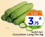 خيار للحكيم