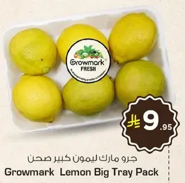 Growmark Lemon Big Tray Pack