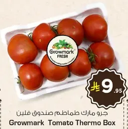 Growmark Tomato Thermo Box