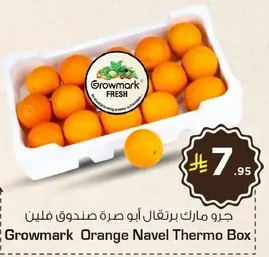 Growmark Orange Navel Thermo Box