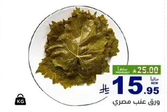 Egyptian vine leaves.